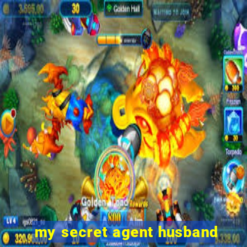 my secret agent husband