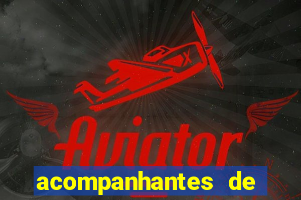 acompanhantes de luxo sc