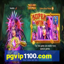 pgvip1100.com