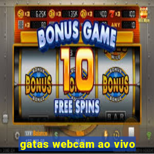 gatas webcam ao vivo