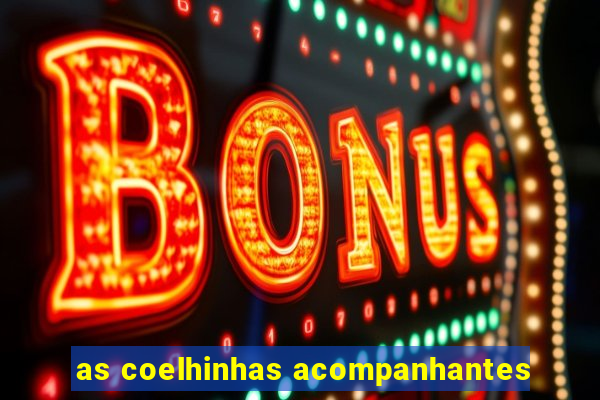 as coelhinhas acompanhantes