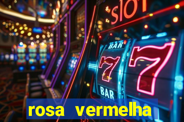 rosa vermelha (letra e cifra)