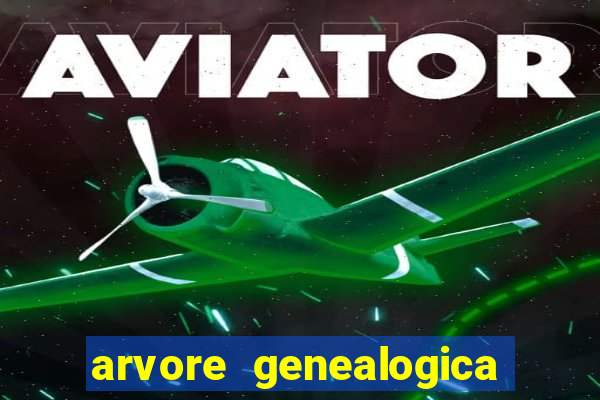 arvore genealogica dos gracie