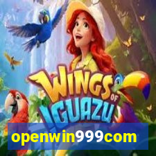 openwin999com