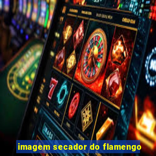 imagem secador do flamengo