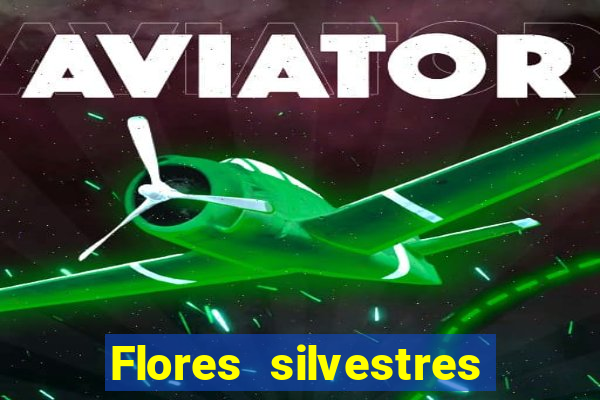 Flores silvestres brasileiras 25