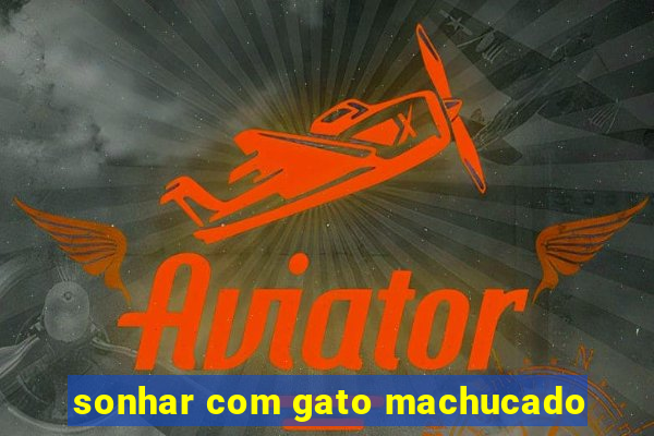 sonhar com gato machucado