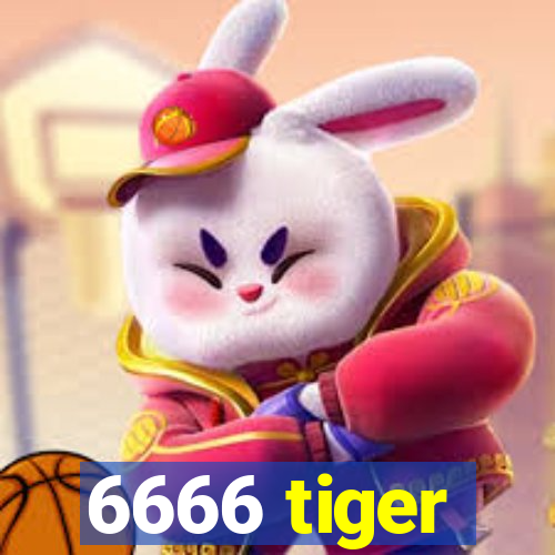6666 tiger