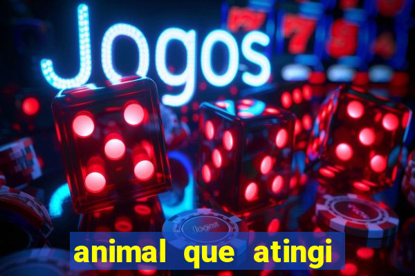 animal que atingi 230 decibeis