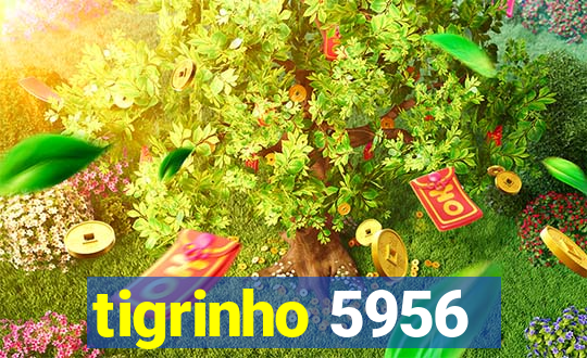 tigrinho 5956