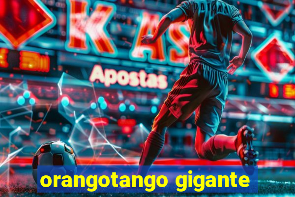 orangotango gigante