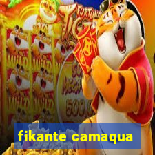 fikante camaqua