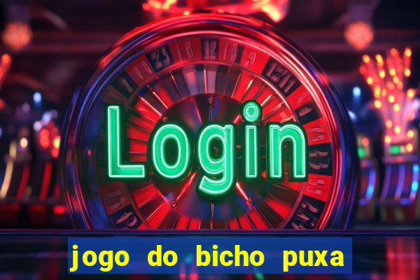 jogo do bicho puxa de dona maria