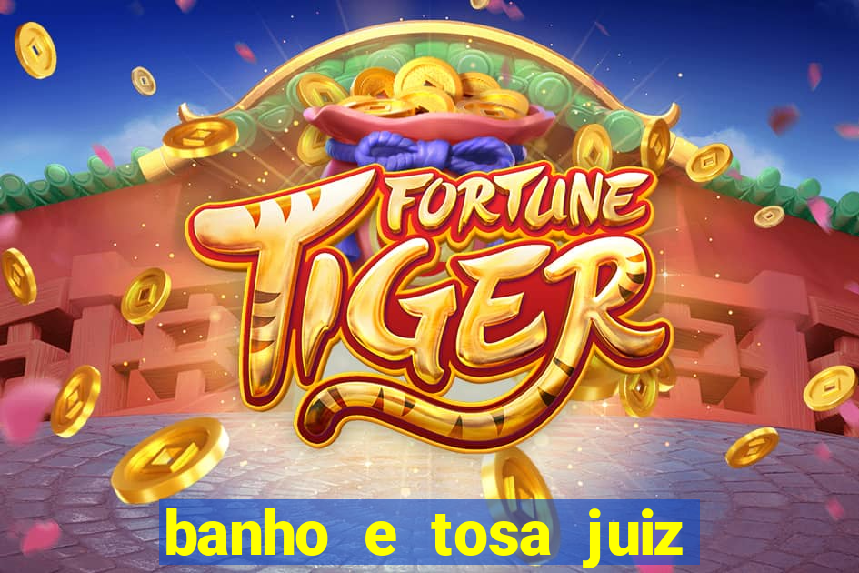 banho e tosa juiz de fora