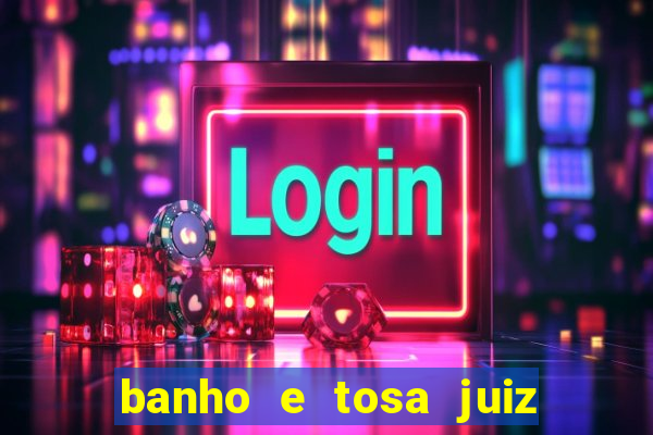 banho e tosa juiz de fora