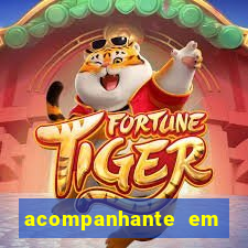 acompanhante em porto seguro