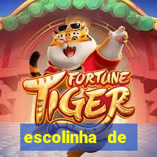 escolinha de handebol feminino rj flamengo