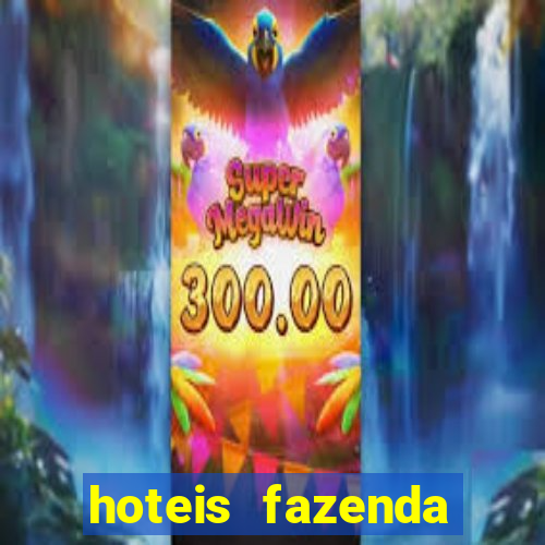 hoteis fazenda porto velho