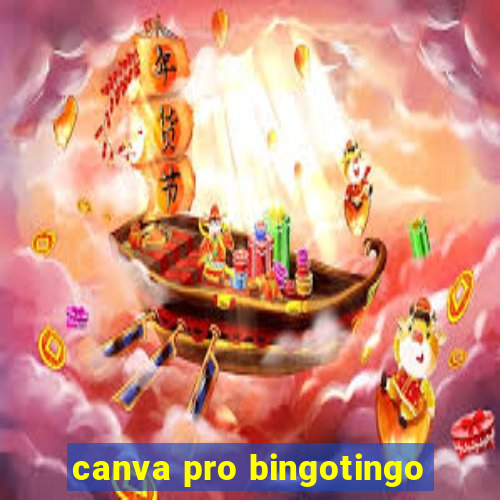canva pro bingotingo