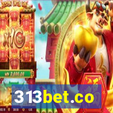 313bet.co