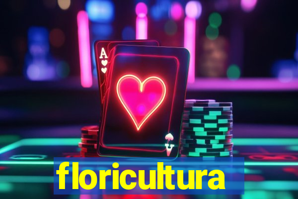 floricultura juazeiro bahia