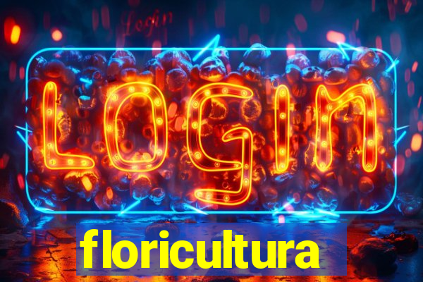 floricultura juazeiro bahia