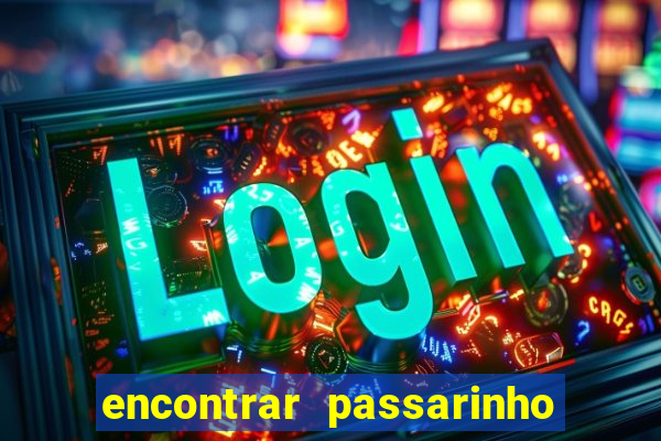 encontrar passarinho morto significado