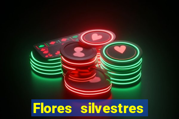 Flores silvestres brasileiras brasileiras flores silvestres nomes e imagens