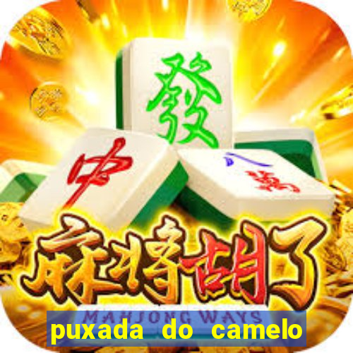 puxada do camelo no jogo do bicho