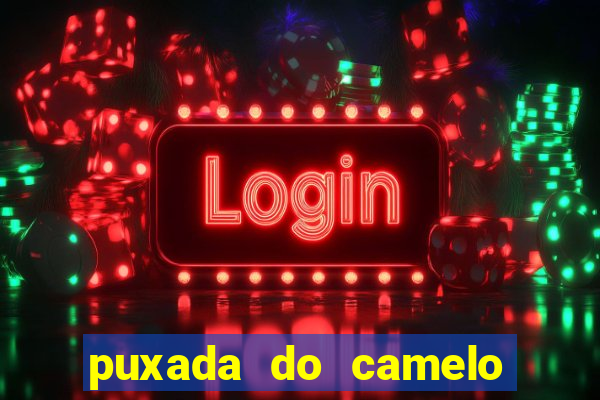 puxada do camelo no jogo do bicho