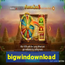 bigwindownload