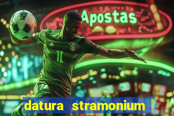 datura stramonium medicinal uses