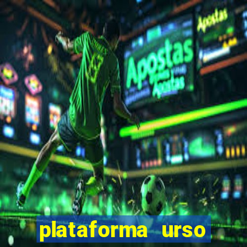 plataforma urso polar 777