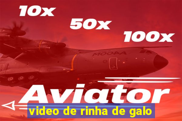 video de rinha de galo