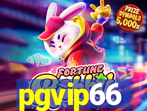 pgvip66
