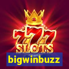 bigwinbuzz