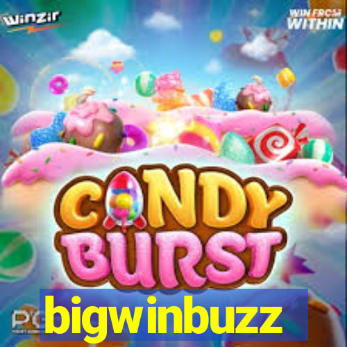 bigwinbuzz
