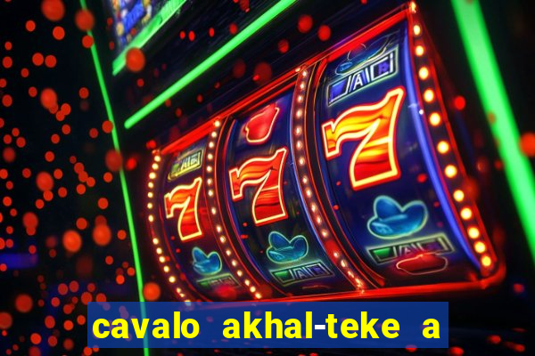 cavalo akhal-teke a venda no brasil cavalo akhal teke no