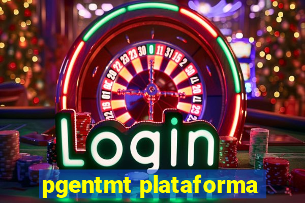 pgentmt plataforma