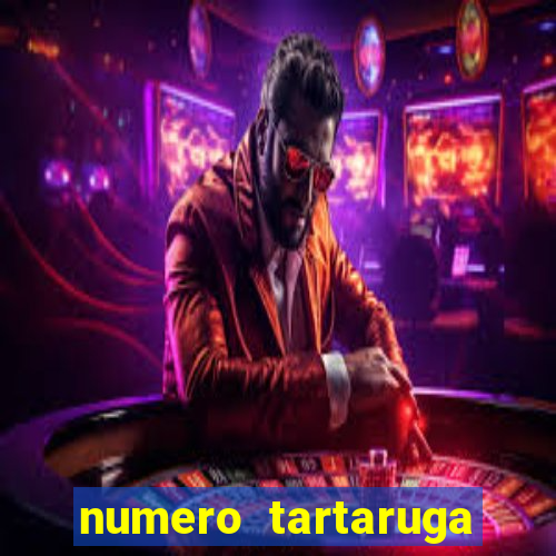 numero tartaruga jogo do bicho