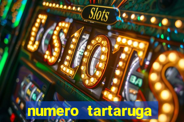 numero tartaruga jogo do bicho