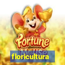 floricultura botafogo rio de janeiro
