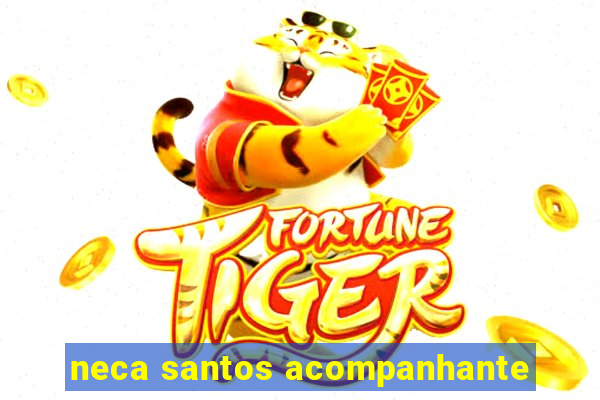 neca santos acompanhante