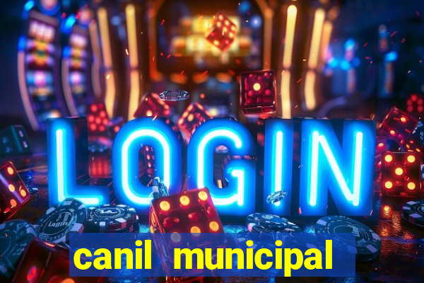 canil municipal porto alegre