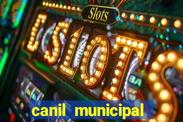canil municipal porto alegre