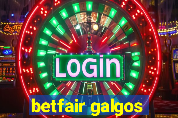 betfair galgos