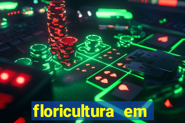floricultura em franca sp