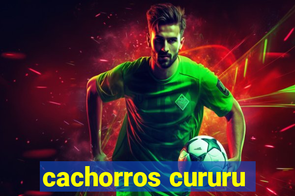 cachorros cururu