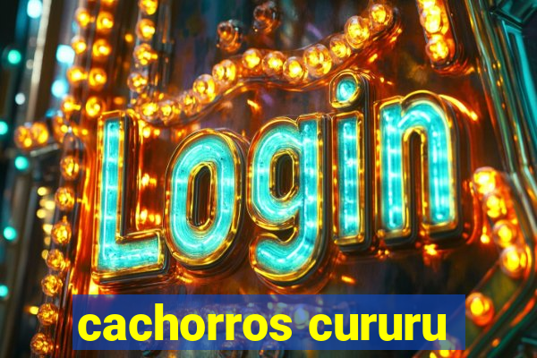 cachorros cururu
