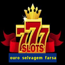 ouro selvagem farsa ouro selvagem o que aconteceu